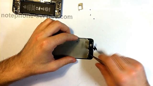 Замена шлейфа фронтальной камеры и динамика на Iphone 5 смотреть онлайн