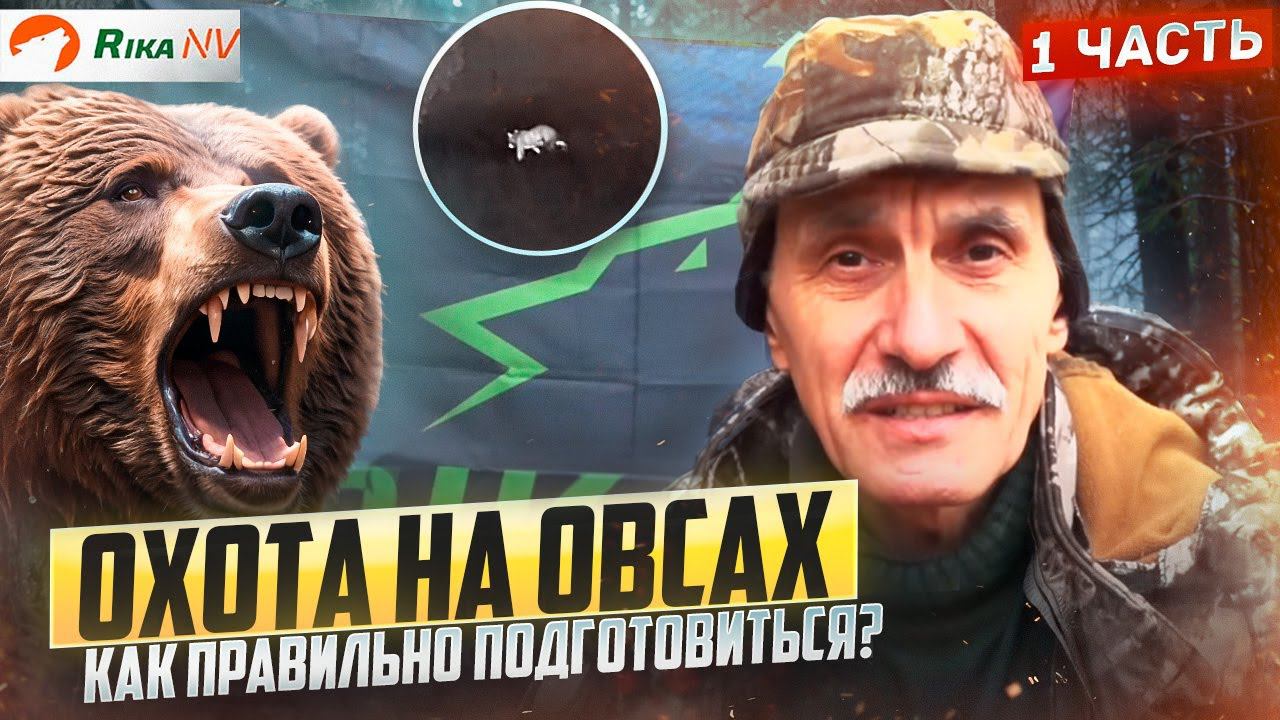 Охота на медведя! Самая интересная охота! Игорь Кроль про подготовку к охоте на овсах. смотреть онлайн