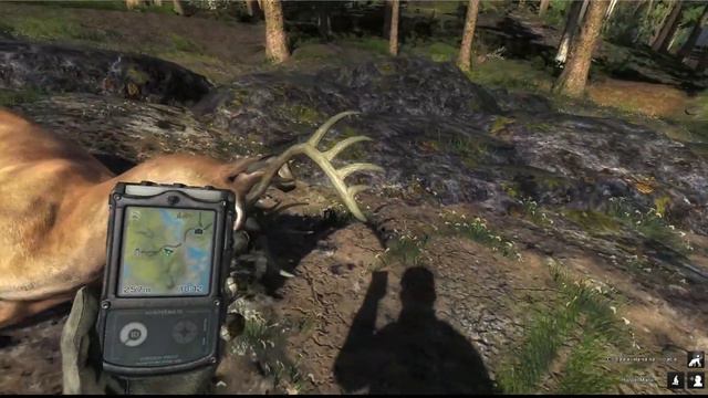 Найти следы самки белохвостого оленя. Карты: Whitehart Island, Logger's Point, Settler Creeks, смотреть онлайн