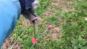 Электропастух для овец Статик-3М-06 4 линии на стеклопластике -  обзор, установка, ошибки, советы