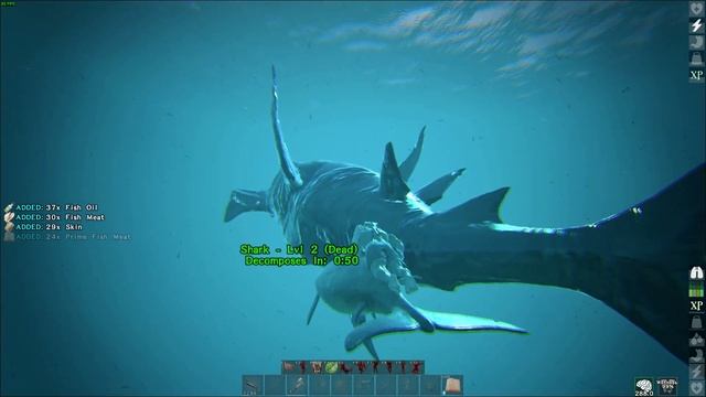 Atlas приручил дельфина и немного на нем покатался tamed a dolphin and rode it a little смотреть онлайн