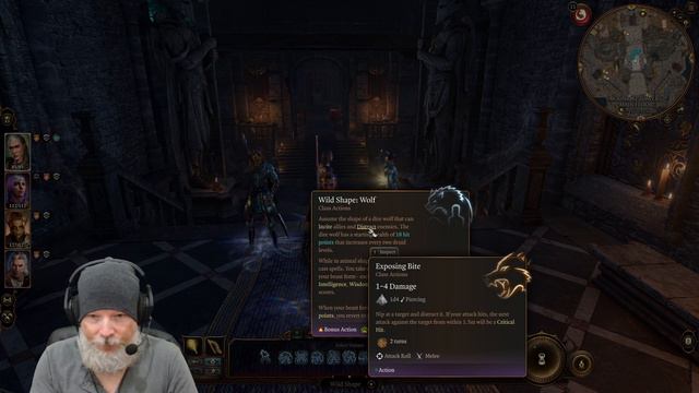 Moon Druid Guide On How To Use Wild Shape In Baldur's Gate 3 смотреть онлайн
