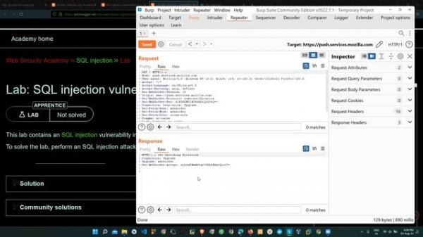 SQL injection lab #1 #2 #3 | Portswigger | web-security-labs