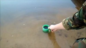 Ловля СОМа троллингом.Открытие сезона по СОМу.Река Припять.Рыбалка в Беларуси.