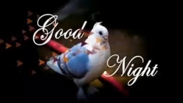 GOOD Night: Wishes Messages Status Sms Wallpaper pics Whatsapp Quotes Images video Greetings Photos смотреть онлайн