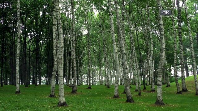 Panasonic New Camcorder HC-X1000 Actual Shooting Sample recorded in 4K/60p смотреть онлайн