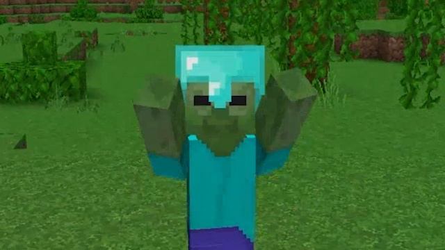 Morph Addon para Minecraft pe 1.20 | Morph Plus mod Minecraft bedrock 1.20,1 oficial смотреть онлайн