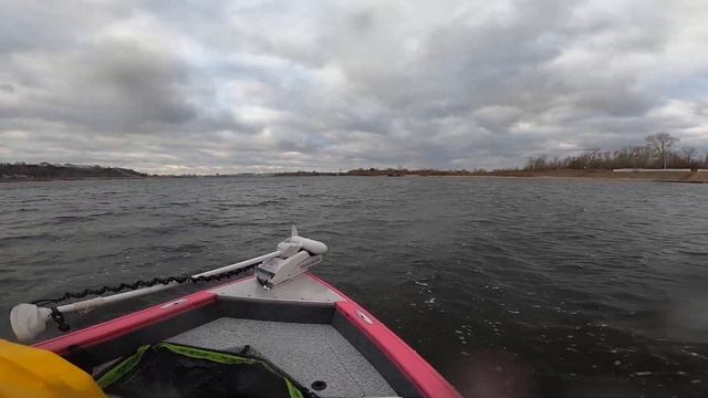 Albakore 440 FISH CS