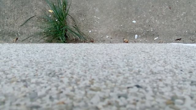 HTC 526g camera test 2 смотреть онлайн