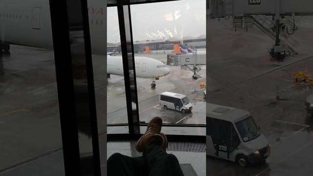 Откуда он прилетел?? Boeing 777-300ER✈️ Жду посадку в самолёт! Наблюдаю за самолётами!? смотреть онлайн