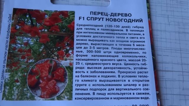 Посадка семян перцев в самокрутку (пеленку, улитку) 2017 смотреть онлайн