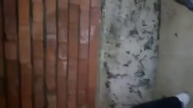 Нашли заброшенные места и компьютер смотреть онлайн