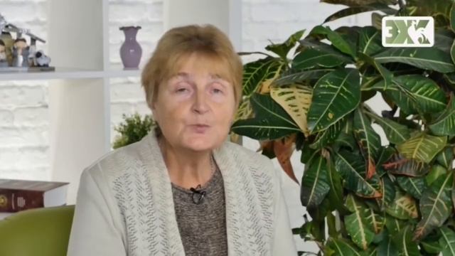 ЛИЛЕЙНИК - ЛУЧШИЕ СОВЕТЫ смотреть онлайн