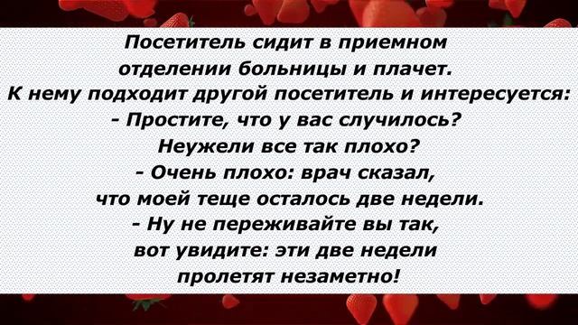 Анекдоты смешные до слёз! Сборник Очень Смешных Остреньких Анекдотов! Позитив! Выпуск 109 смотреть онлайн
