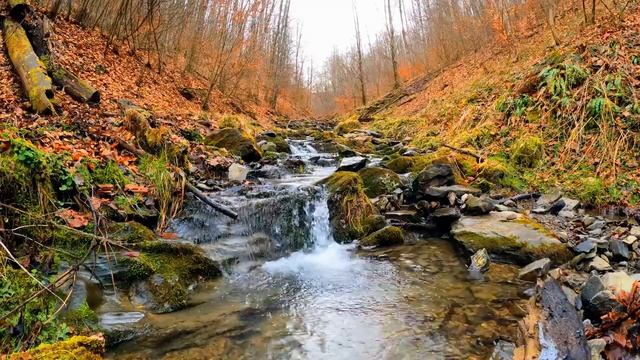 Autumn, Soothing  & Calming Scenic Videos To Reduce Stress, Calm Anxiety & Help You Sleep!