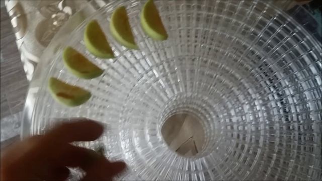 Тонкости в саду и быту