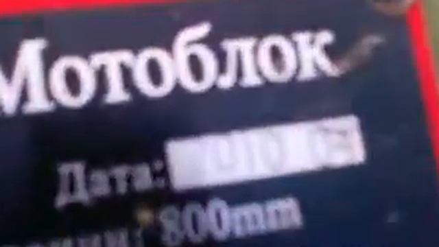 Мотоблок зубр осмотр смотреть онлайн