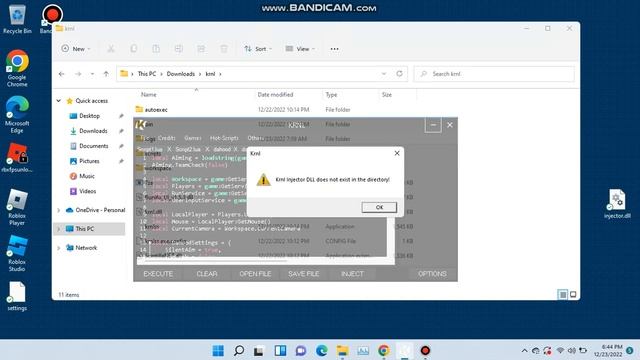 ?HOW TO FIX KRNL DLL DOES NOT EXIST IN YOUR DIRECTORY (2022) ? смотреть онлайн