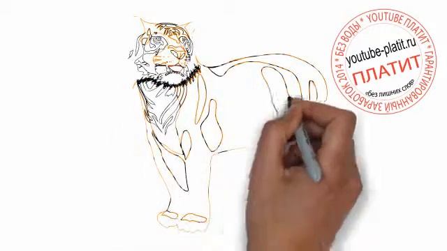 Как карандашом нарисовать домашнего тигра поэтапно смотреть онлайн