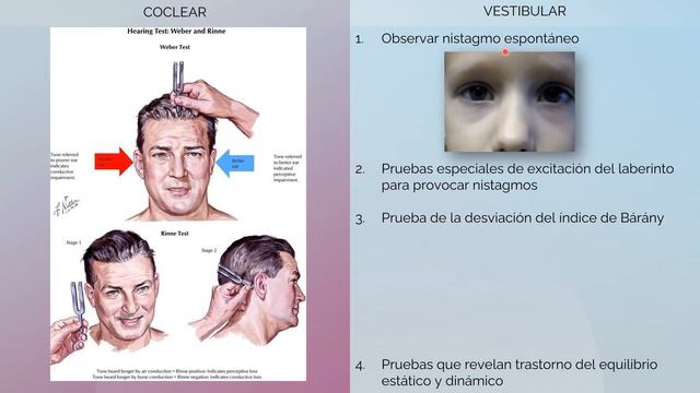 Semiotecnia neurológica (examen físico). Méd. Carolina Galvani смотреть онлайн