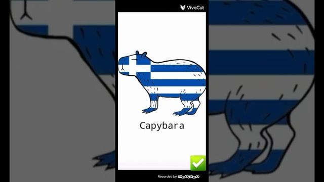 капибара на разных языках??#капибара #top #язык # греция#германия#португалия#грызун смотреть онлайн