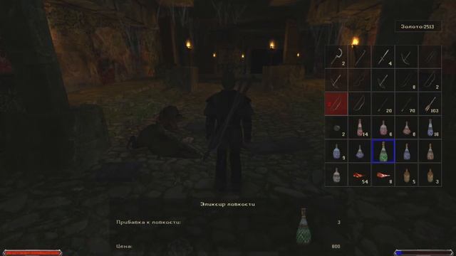 #21 Снаружи и внутри пирамиды | Gothic II Night of the raven | Прохождение смотреть онлайн