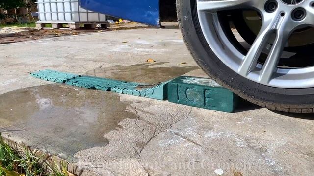 Crushing Crunchy & Soft Things By Car! Experiment  Car Vs Fish