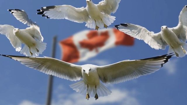 Безумные теории заговора, связанные с коронавирусом | Теории заговора, которые строят вокруг COVID1 смотреть онлайн