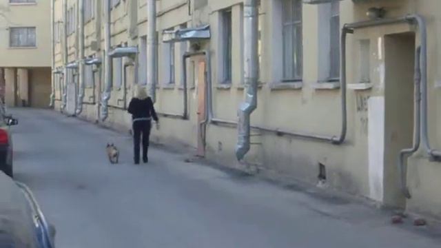 Экстримал занятия с хендлером смотреть онлайн