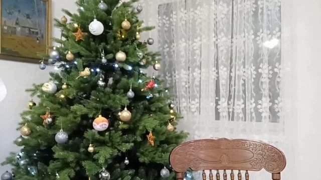 Пополнение моей коллекции орхидей. Пересаженные мной орхидеи три недели назад все живы?