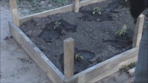 Парник своими руками