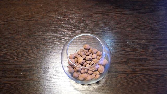 Как пересадить орхидею Фаленопсис в закрытую систему смотреть онлайн