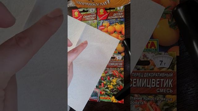 Проращивание семян томата и перца декоративного острого?? смотреть онлайн