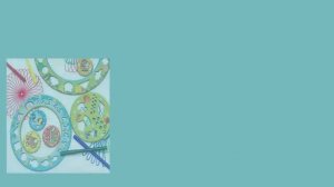 Подарки Мальчику на 8 лет - Что Подарить Сыну, Внуку, Крестнику |Best Gifts for 8 Year Old Boy