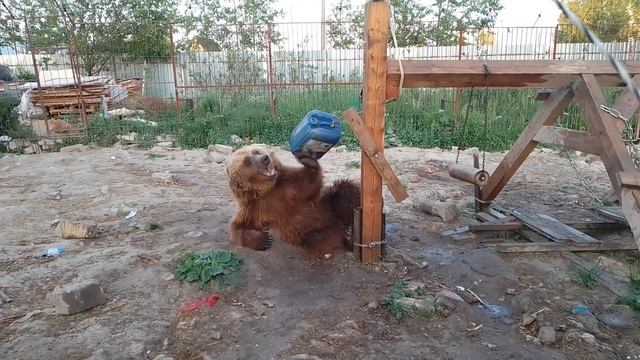 04.07.22. вечернийвечер. смотреть онлайн