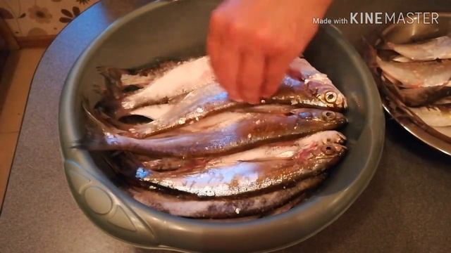 Сушёная чехонь к пенному.. сушим на балконе смотреть онлайн
