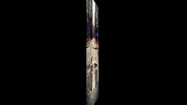 Abigoba - Darwin's Nightmare смотреть онлайн