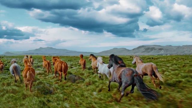 Не меняй коней на переправе