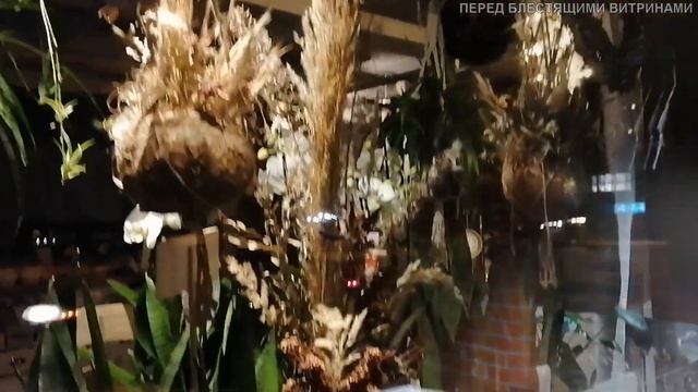 Ольга Фокина. Стихотворение «Перед блестящими витринами» ...А дети верят нам... смотреть онлайн