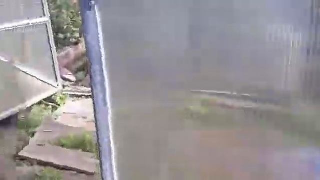 Теплица Дачник нано 3М, помидоры растут как на дрожжах! смотреть онлайн