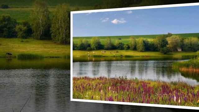 Юрий Шихов Yuri Shikhov On the Russian plain На русской равнине смотреть онлайн
