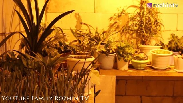 Строительные Приметы