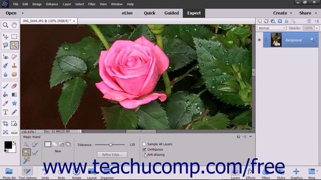 Photoshop Elements 2018 Tutorial The Magic Wand Tool Adobe Training смотреть онлайн