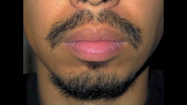 Mustache Diary Timelapse смотреть онлайн