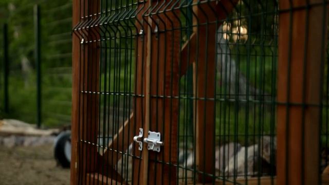 Вольер с будкой для собаки 3х2 метра из дерева