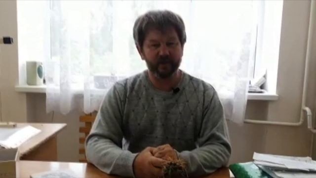 Выпускной 9 класса! Лучшее поздравление! смотреть онлайн