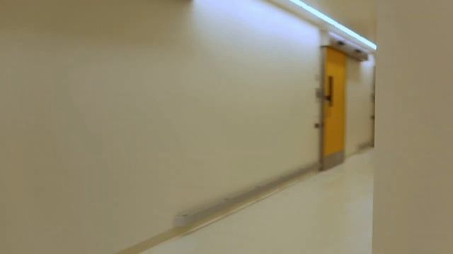 LabDays │ работа в лаборатории, опыты и мышата смотреть онлайн