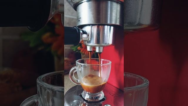 morning espresso lungo with Delonghi Dedica смотреть онлайн