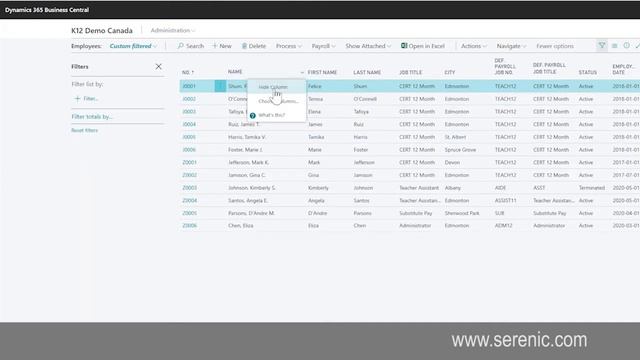 Introduction to Serenic Navigator смотреть онлайн