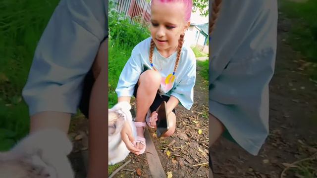 красивый игроман